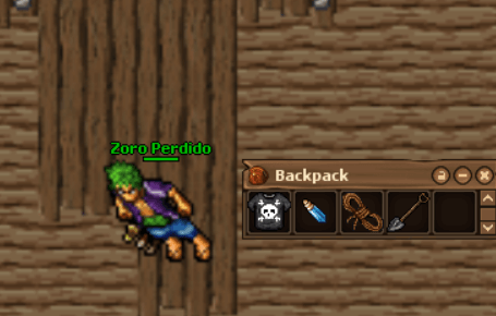 16 - Look Item Information